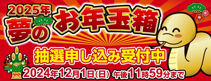 yodobashi-fukubukuro2025