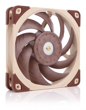 noctua