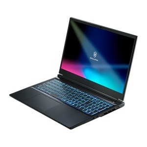 GALLERIA RL7C-R55-5N