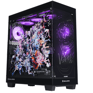 vspo-galleria-case